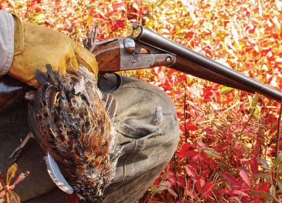 classic shotgun being used in hunting application
