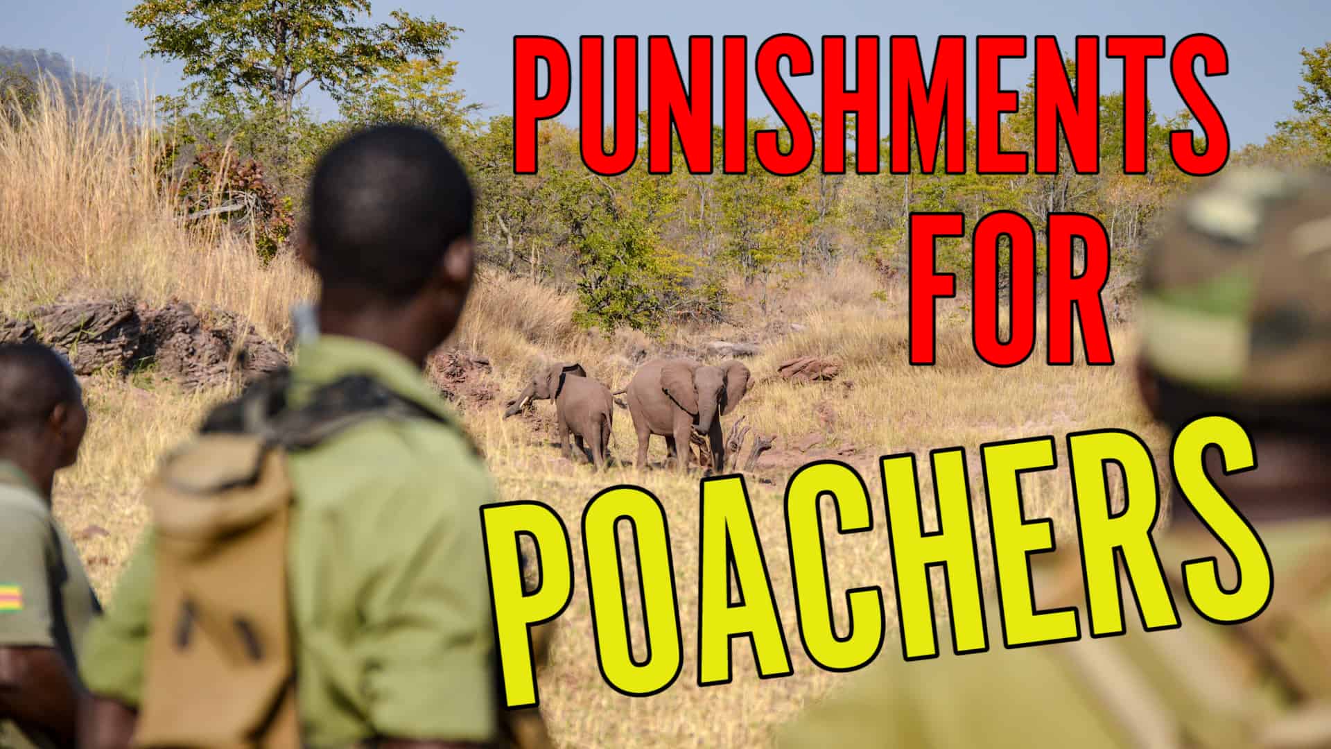 punishments for poachers