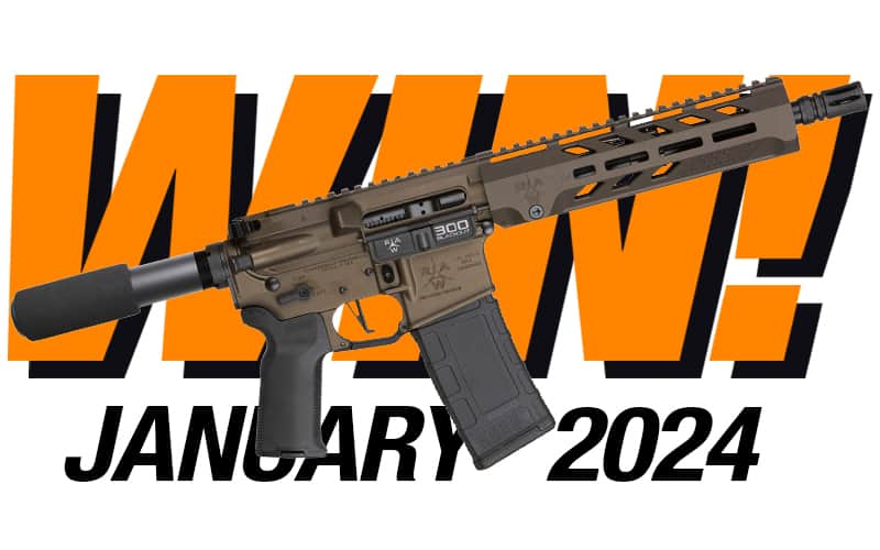 Store Guns Safely, January, February 2024