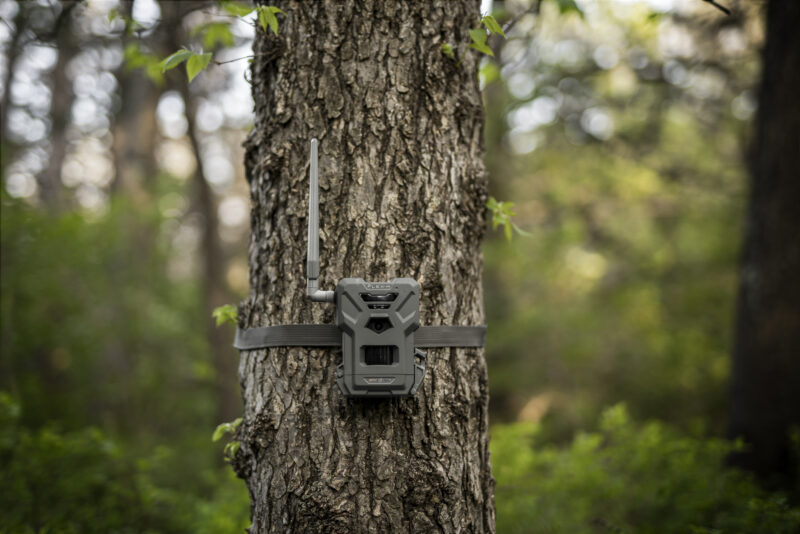 Spypoint Flex-M cellular Trail Camera mounted on tree