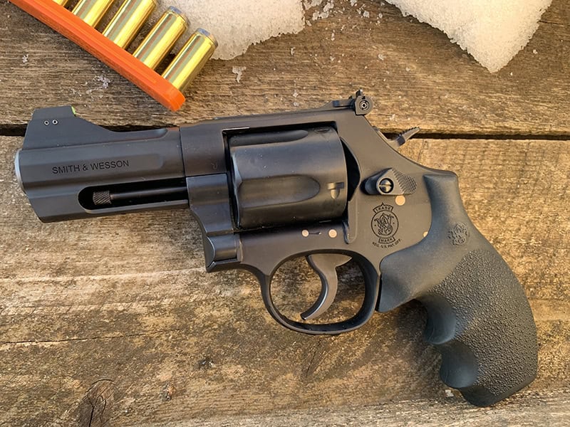 GUNS Magazine Lipsey's Exclusive S&W 396 Night Guard - GUNS Magazine