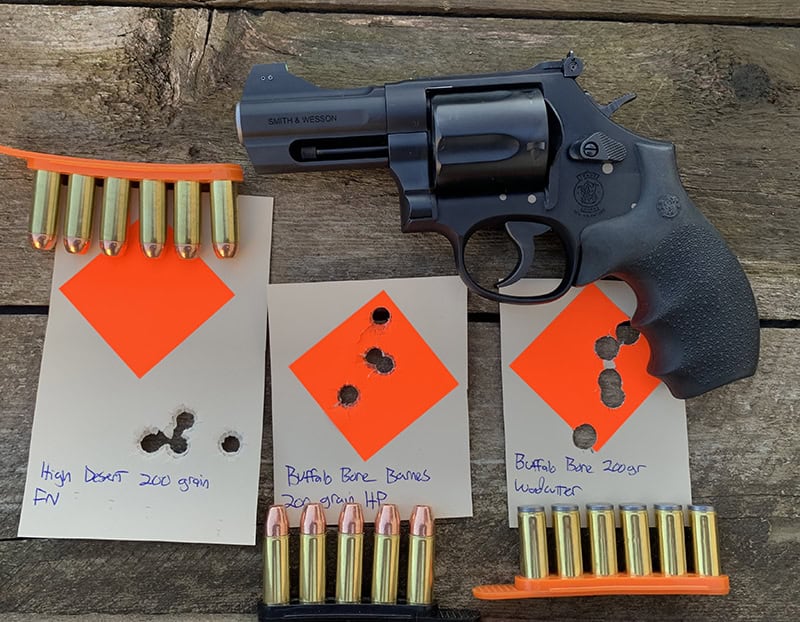 GUNS Magazine Lipsey's Exclusive S&W 396 Night Guard - GUNS Magazine